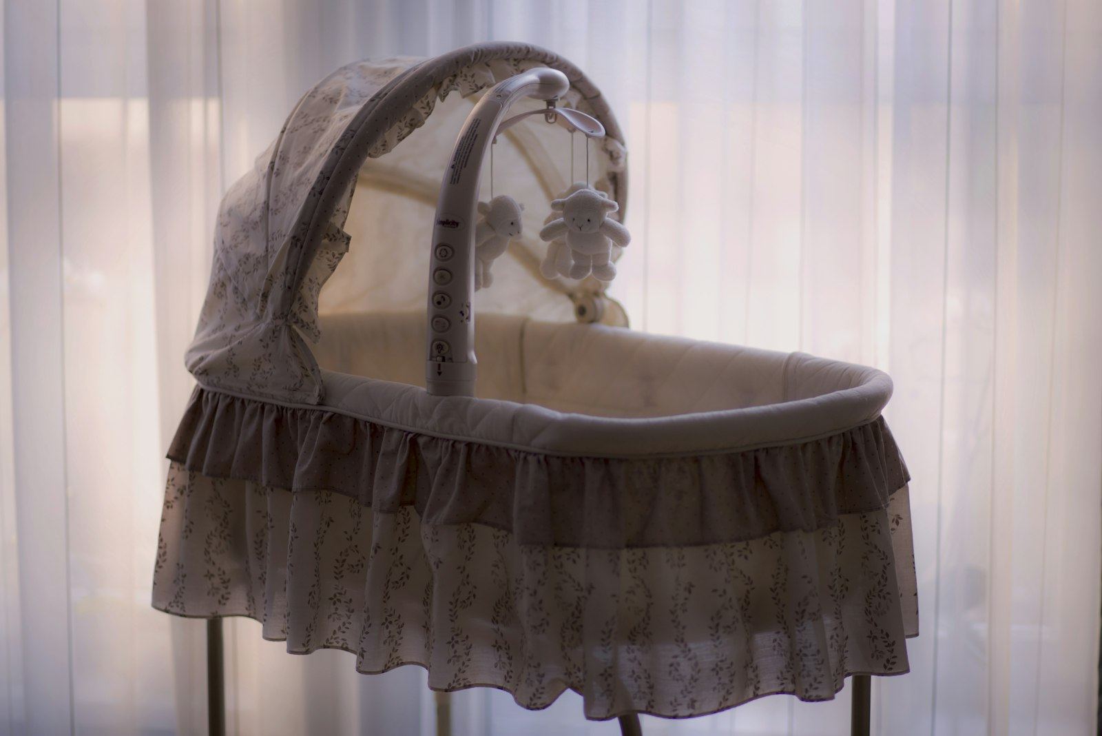 Empty rocking bassinet with a canopy by a sunny window