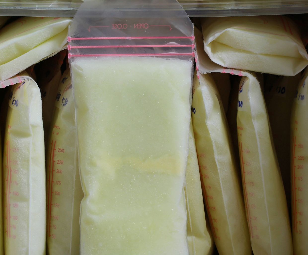 Close-up of a bag of frozen breast milk standing among other frozen milk bags in a freezer