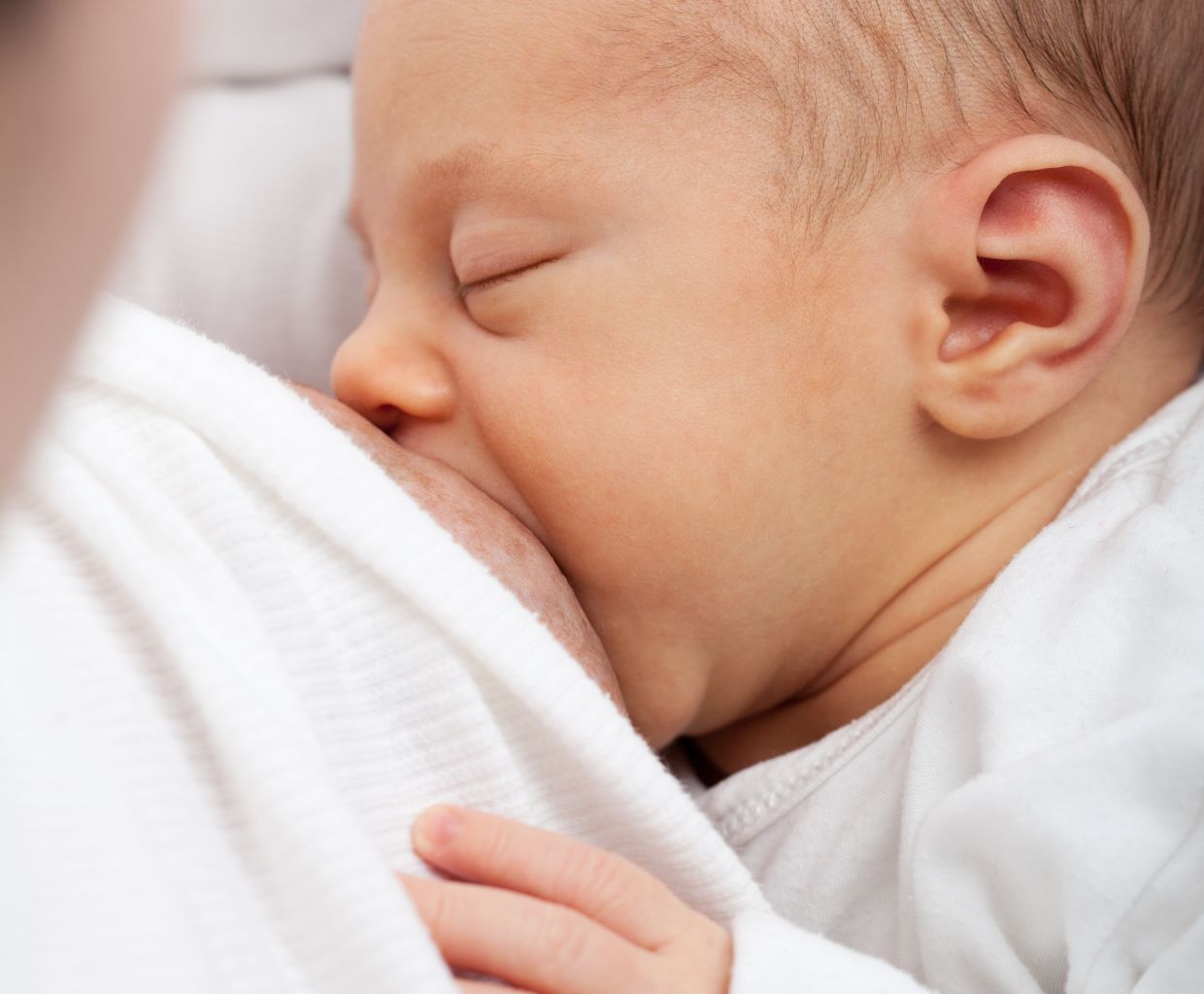 Close-up of a sleeping baby breastfeeding, wrapped in a soft white blanket
